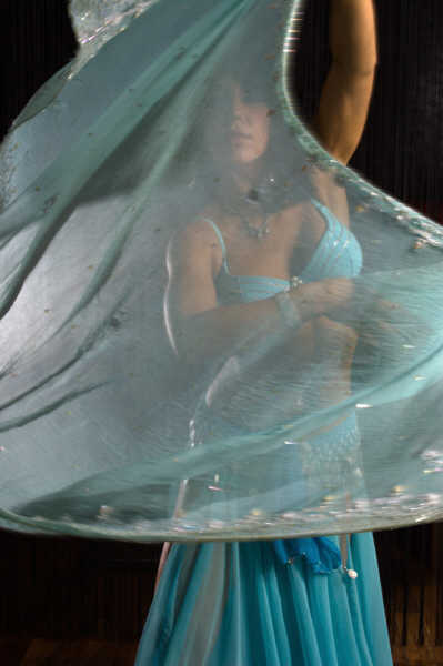 Veil dance belly dancer