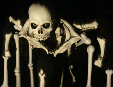 Spider Skeleton stiltwalker