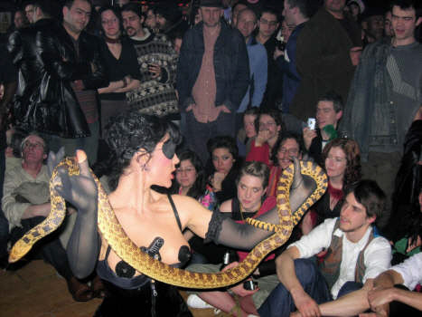 Snake Dancer Misirlou theme