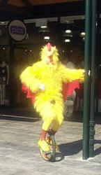 Chicken on a unicycle!!